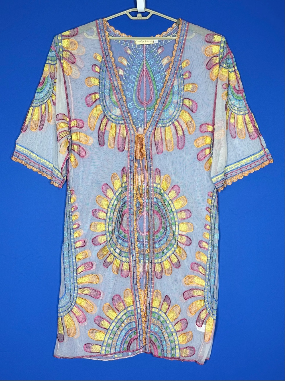 Ashley Taylor Sheer Embroidered Mini Dress in Multicolor